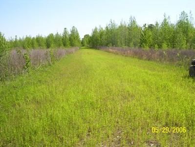 Property in Franklin Parish, Louisiana