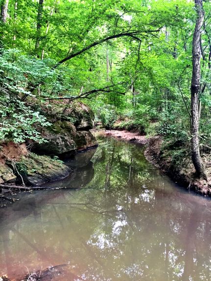 Property in Monroe County, Georgia