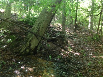 Property in Perry County, Alabama