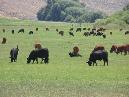Property in Owyhee County, Idaho