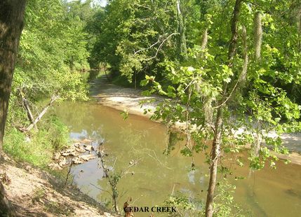 Property in Wilcox County, Alabama
