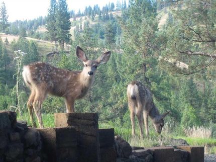 Property in Grant County, Oregon