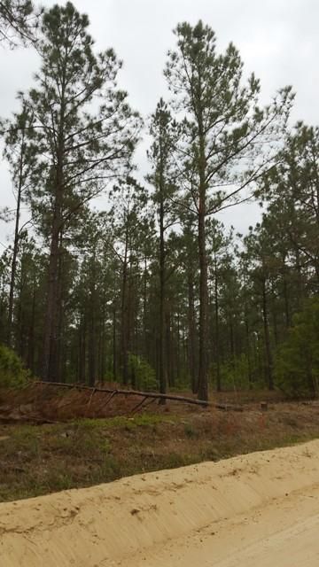 Property in Aiken County, South Carolina