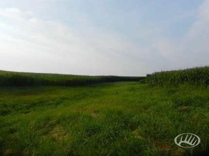 Property in Saline County, Missouri