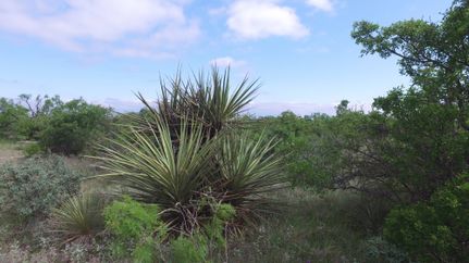 Property in Concho County, Texas
