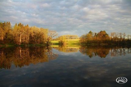 Property in Douglas County, Minnesota