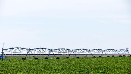 Property in Hutchinson County, Texas