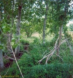 Property in Hardin County, Ohio