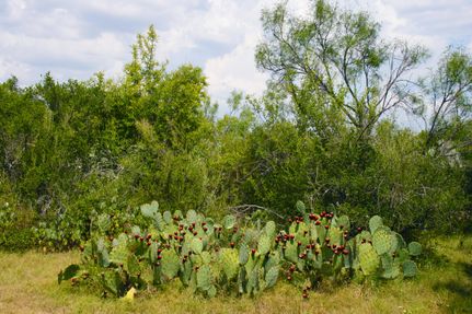 Property in Kinney County, Texas