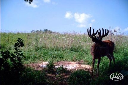 Property in Winneshiek County, Iowa