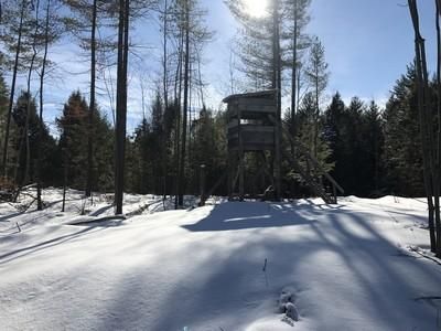 Property in Saint Lawrence County, New York