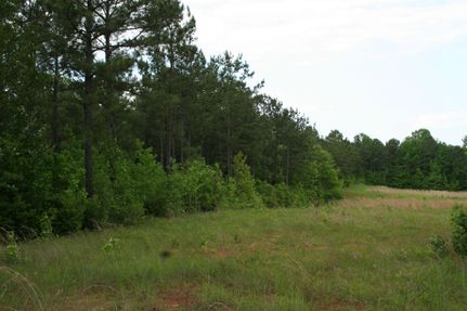 Property in Butler County, Alabama