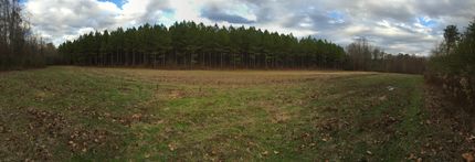 Property in Tallapoosa County, Alabama