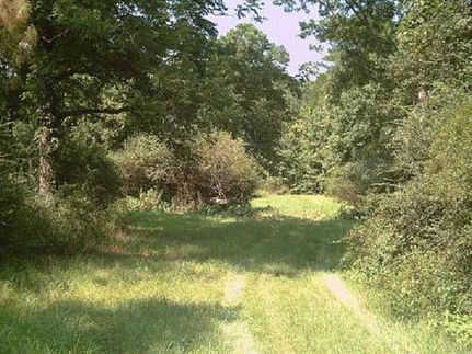 Property in Monroe County, Alabama