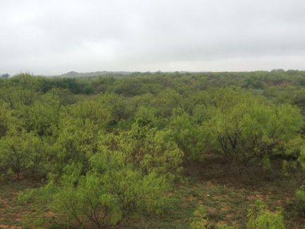 Property in Hall County, Texas