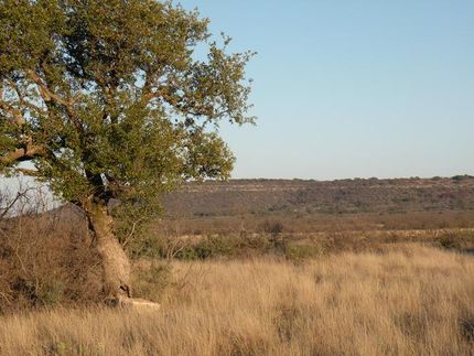 Property in McCulloch County, Texas