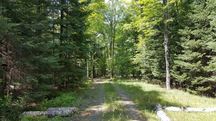 Property in Vilas County, Wisconsin