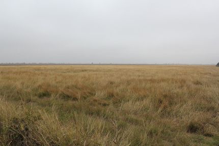 Property in Victoria County, Texas