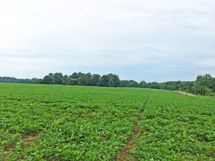 Property in Spencer County, Indiana