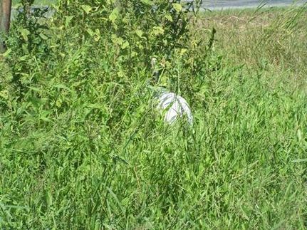 Property in Franklin Parish, Louisiana