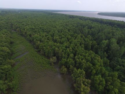 Property in Lake County, Tennessee