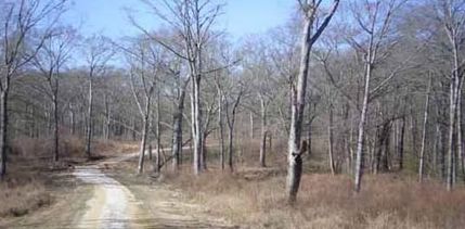 Property in Bullock County, Alabama