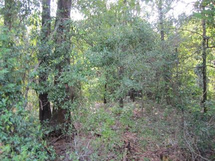 Property in Alachua County, Florida
