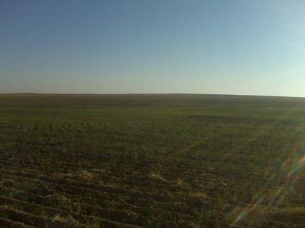 Property in Kit Carson County, Colorado