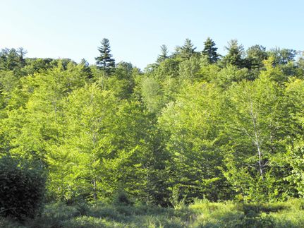 Property in Oxford County, Maine