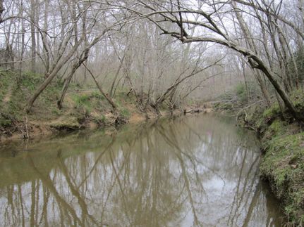 Property in Lunenburg County, Virginia