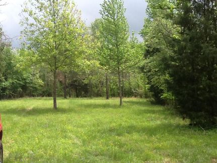 Property in Morris County, Texas