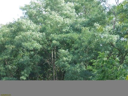 Property in Morrow County, Ohio