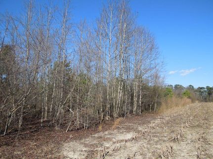 Property in Duplin County, North Carolina