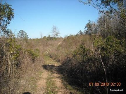 Property in Bienville Parish, Louisiana