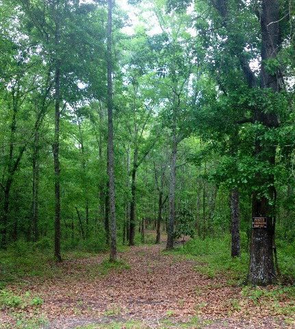 Property in Tift County, Georgia