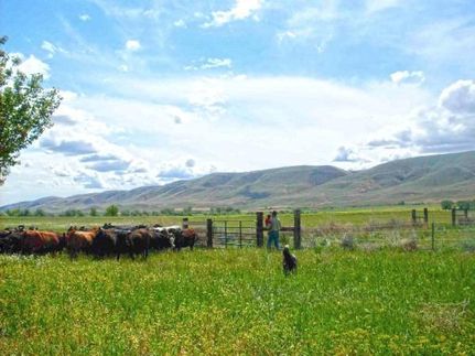 Property in Yakima County, Washington