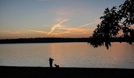 Property in Lamar County, Mississippi