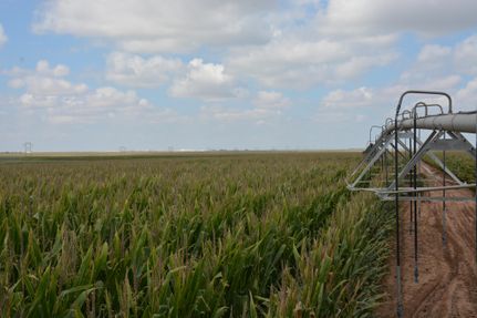 Property in Castro County, Texas