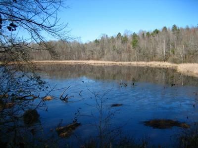 Property in Jackson County, Georgia
