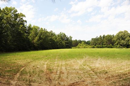 Property in Marion County, South Carolina