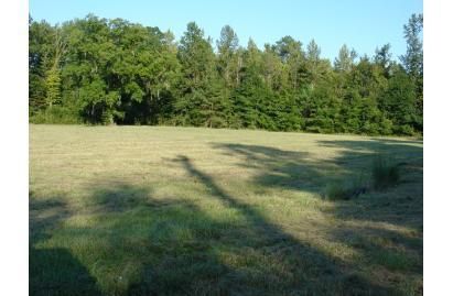 Property in Montgomery County, Alabama