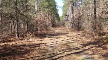 Property in Wilkinson County, Georgia