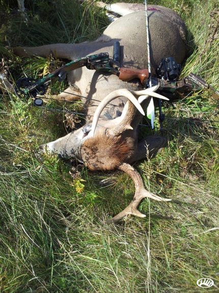 Property in Alcona County, Michigan