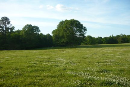 Property in Covington County, Alabama