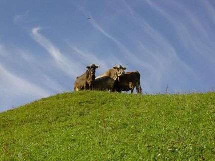 Property in Adams County, Idaho