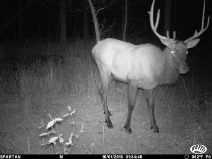 Property in Cherokee County, Oklahoma