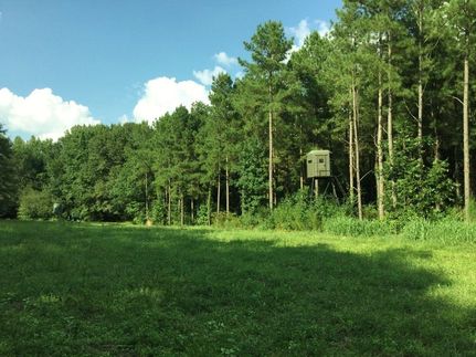 Property in Lowndes County, Alabama