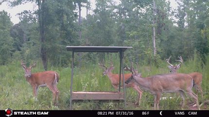 Property in Sumter County, Georgia