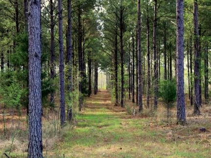 Property in Monroe County, Mississippi