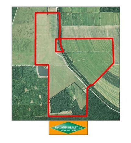 Property in Madison Parish, Louisiana